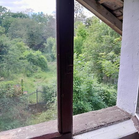 Le Petit Cele Studio Cosy En Bord De Riviere فيجيا المظهر الخارجي الصورة