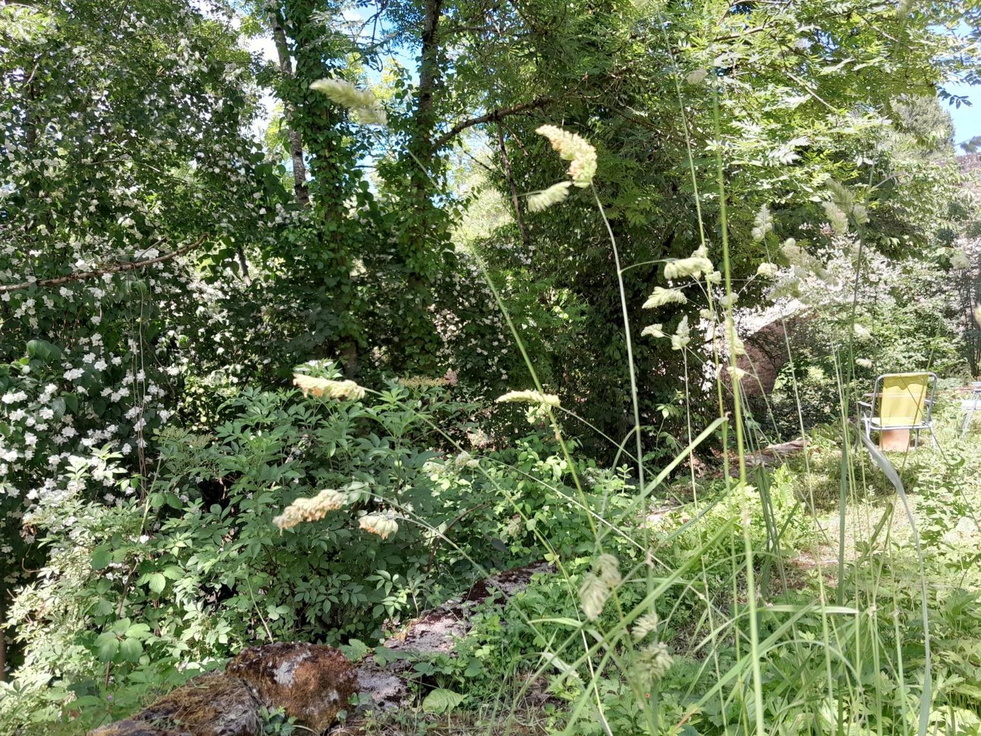 Le Petit Cele Studio Cosy En Bord De Riviere فيجيا المظهر الخارجي الصورة
