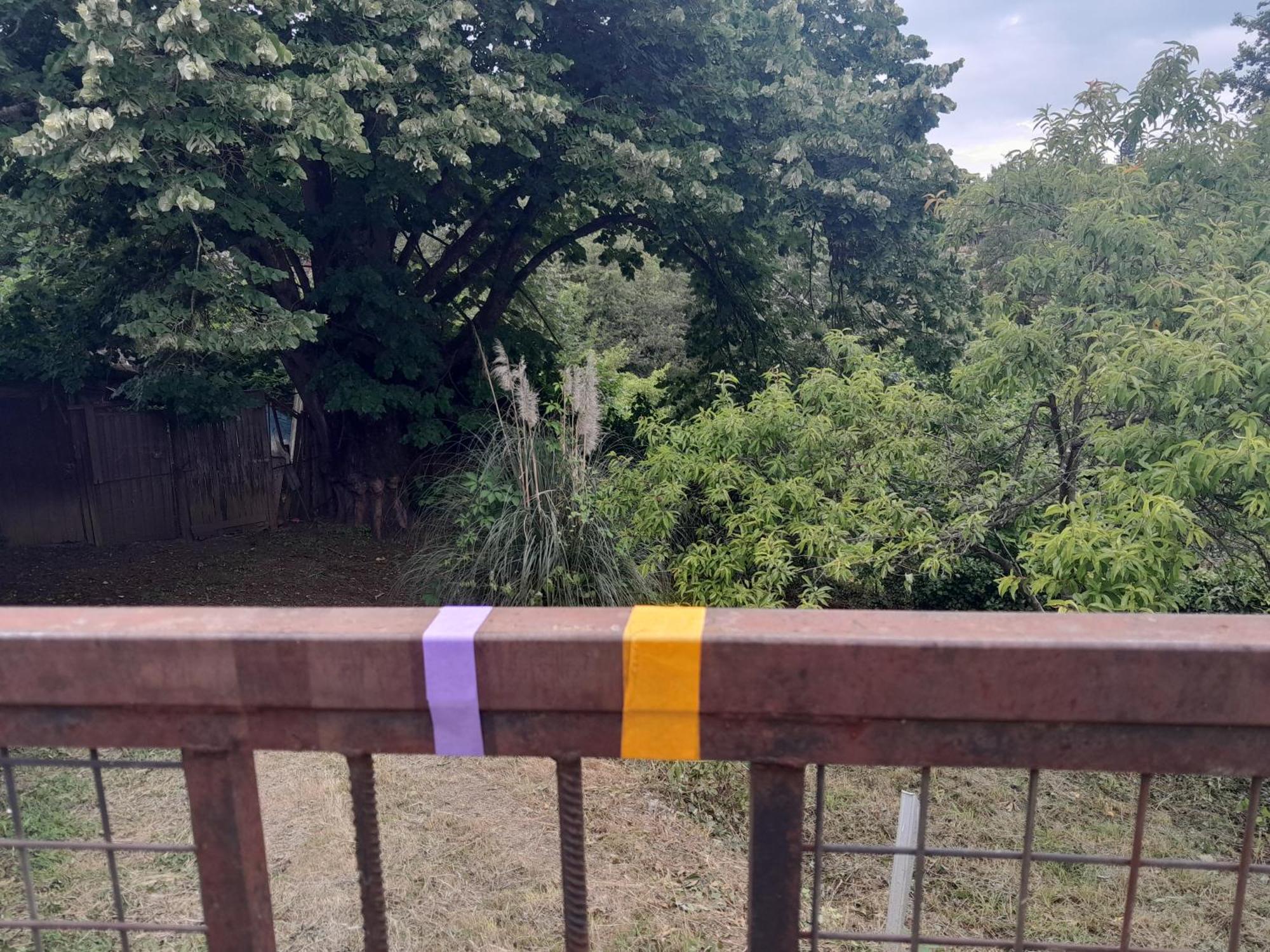 Le Petit Cele Studio Cosy En Bord De Riviere فيجيا المظهر الخارجي الصورة